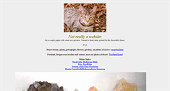 Desktop Screenshot of mkohl1.net