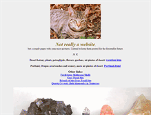 Tablet Screenshot of mkohl1.net